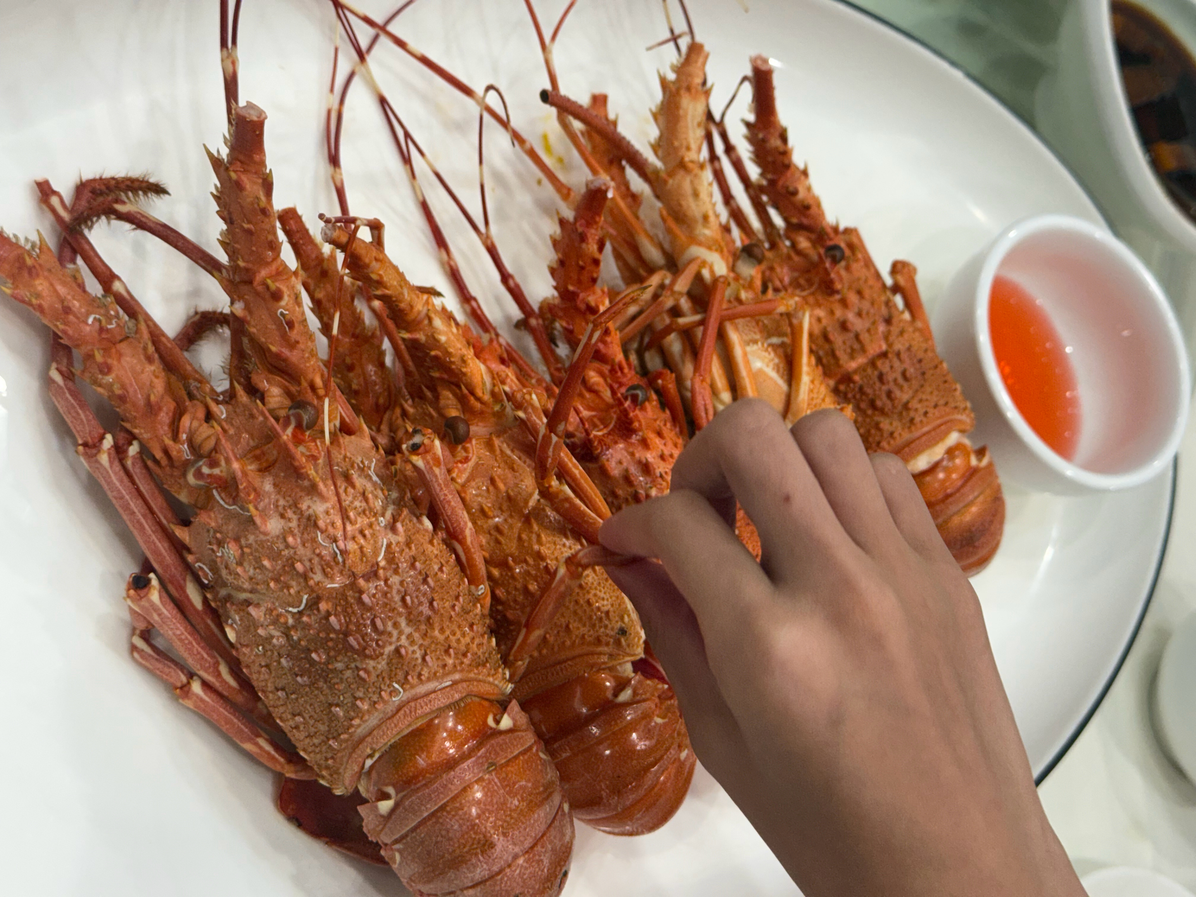 请Hugo吃饭，简简单单小龙虾🦞卖相不好，希望他不要介意[允悲][允悲][允悲