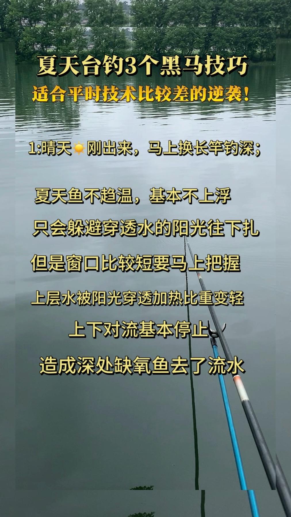 夏天台钓3个逆袭的黑马技巧。 夏天台钓黑马技巧