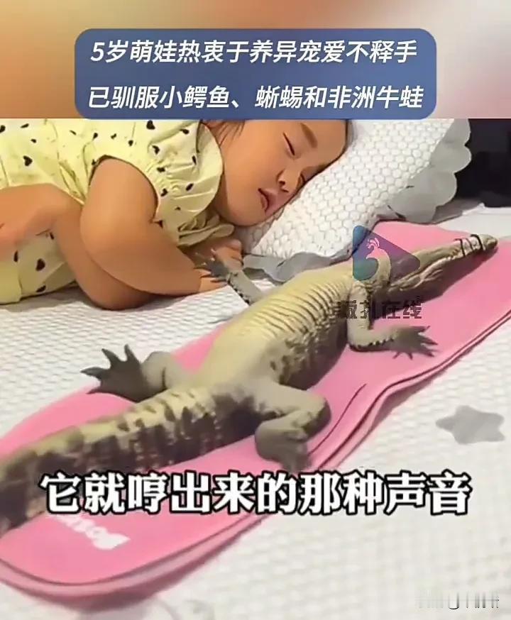 看完直接震惊了！近日，江苏淮安一名女子发视频称，自己的女儿刚满5岁，从小就喜欢养