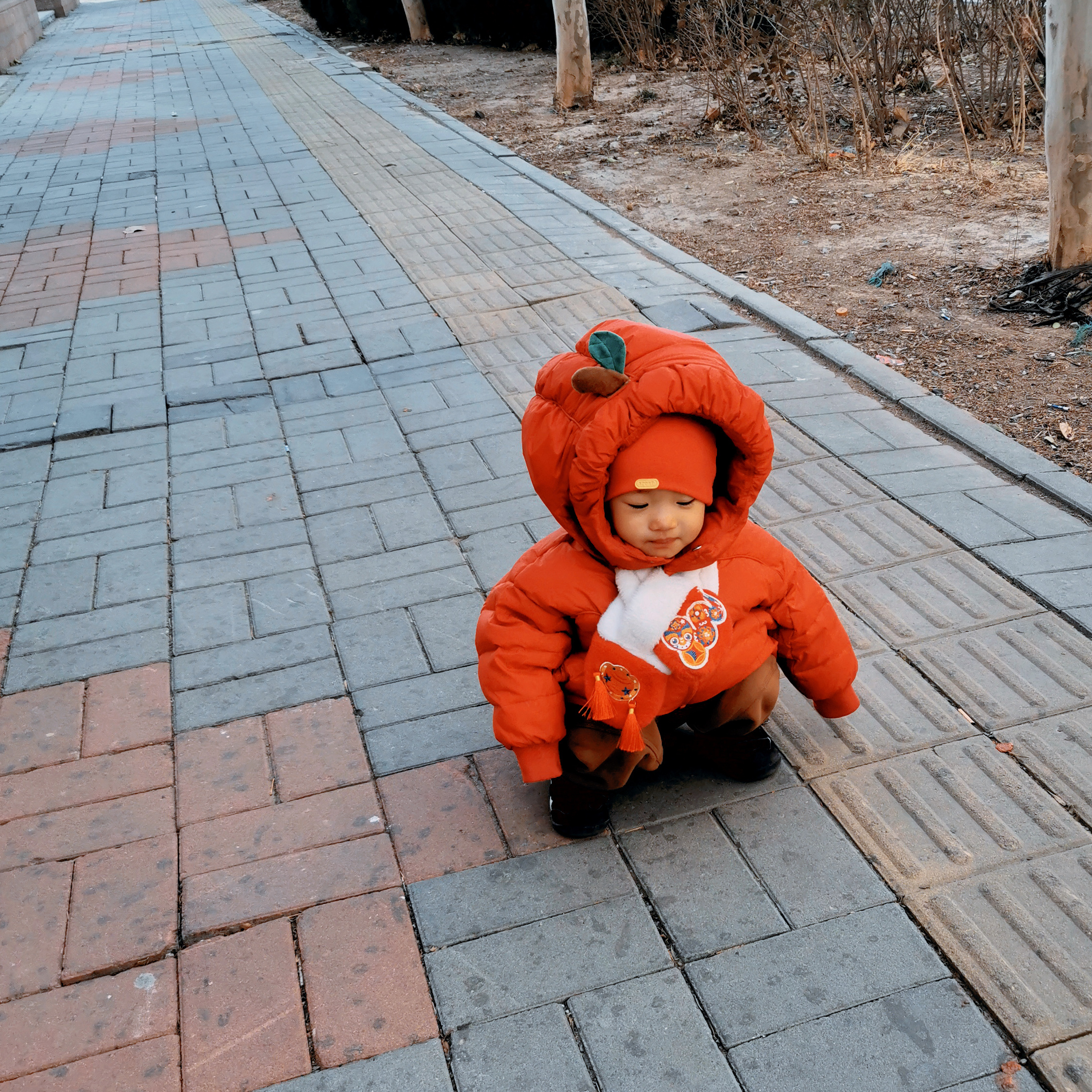 学小狗，拉臭臭。她现在不愿意去草丛里走了，因为总踩到黄金。 