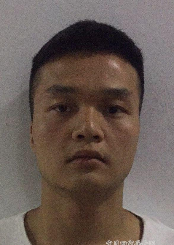 网页链接