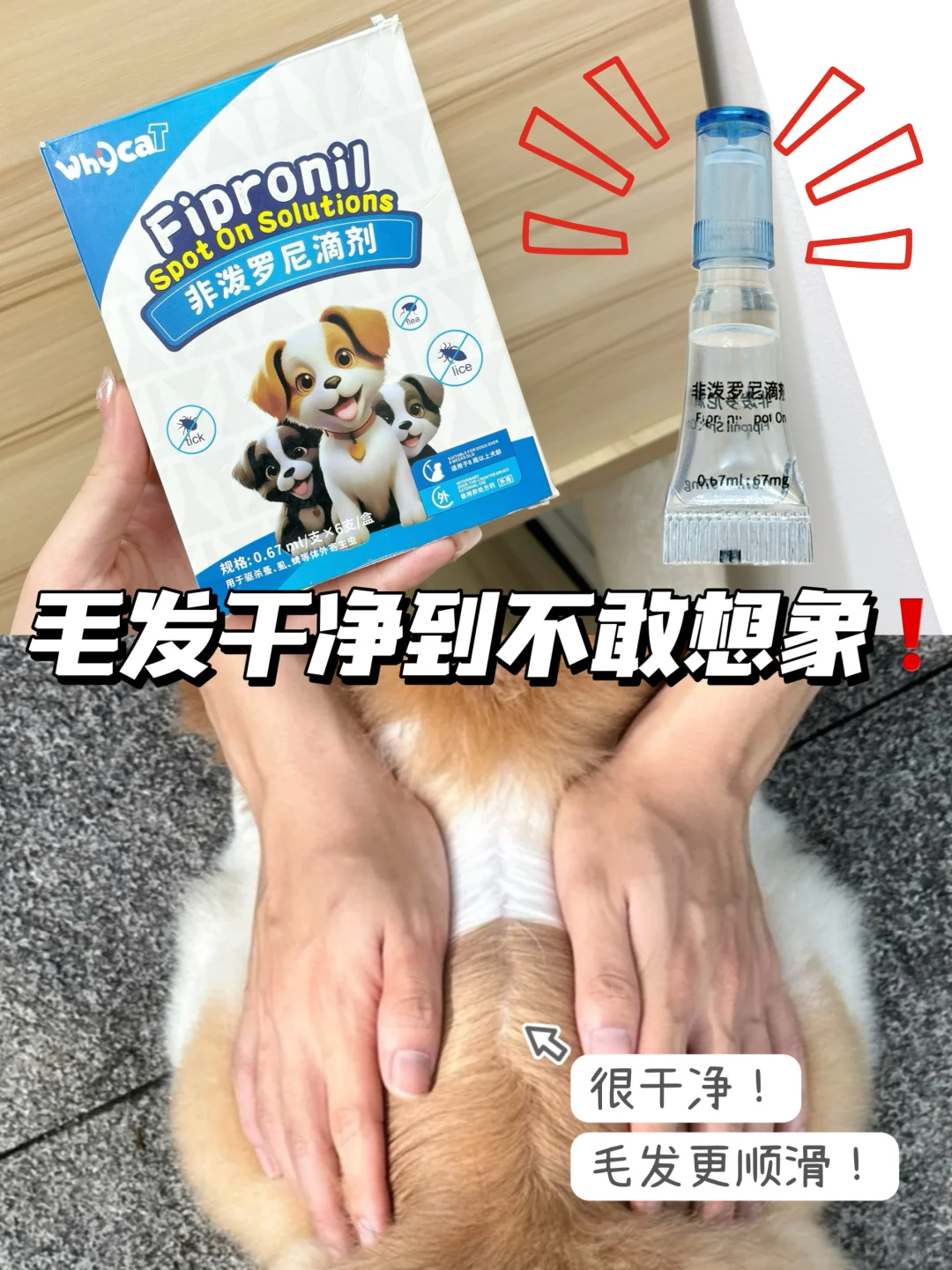 真邪门❗️这驱虫药驱虫防虫太猛了‼️