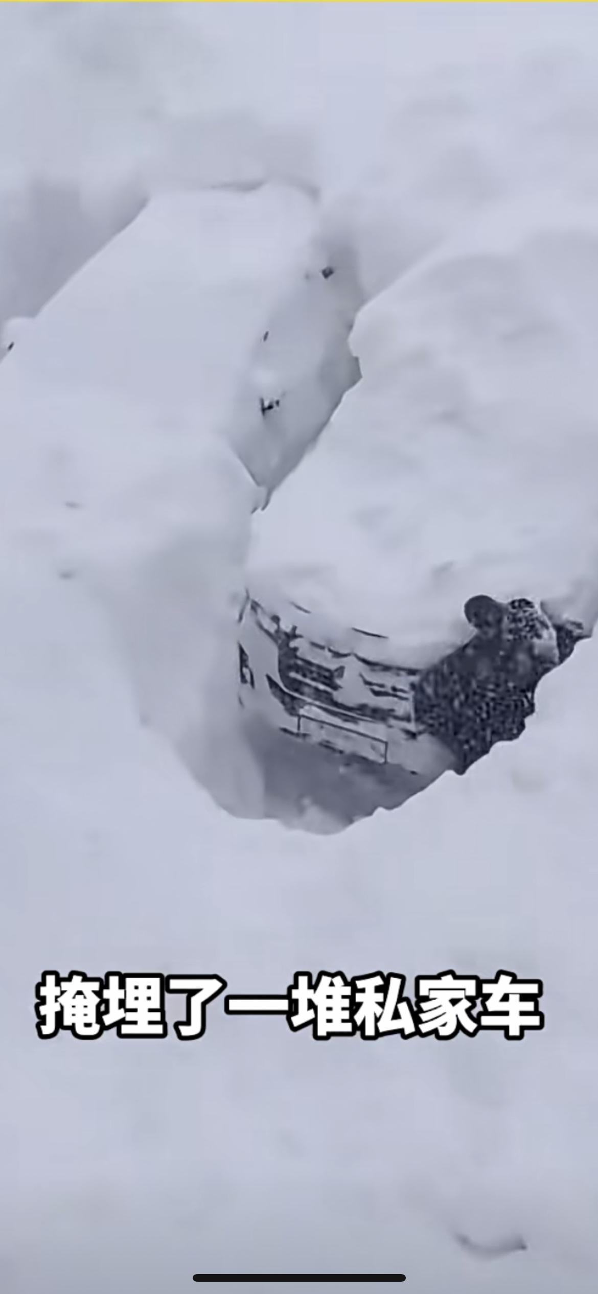 1月20日哈尔滨，“挖了半天发现不是自己的车”，哈尔滨大下雪 ，掩埋了一堆私家车
