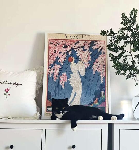 我的小猫也爱vogue～