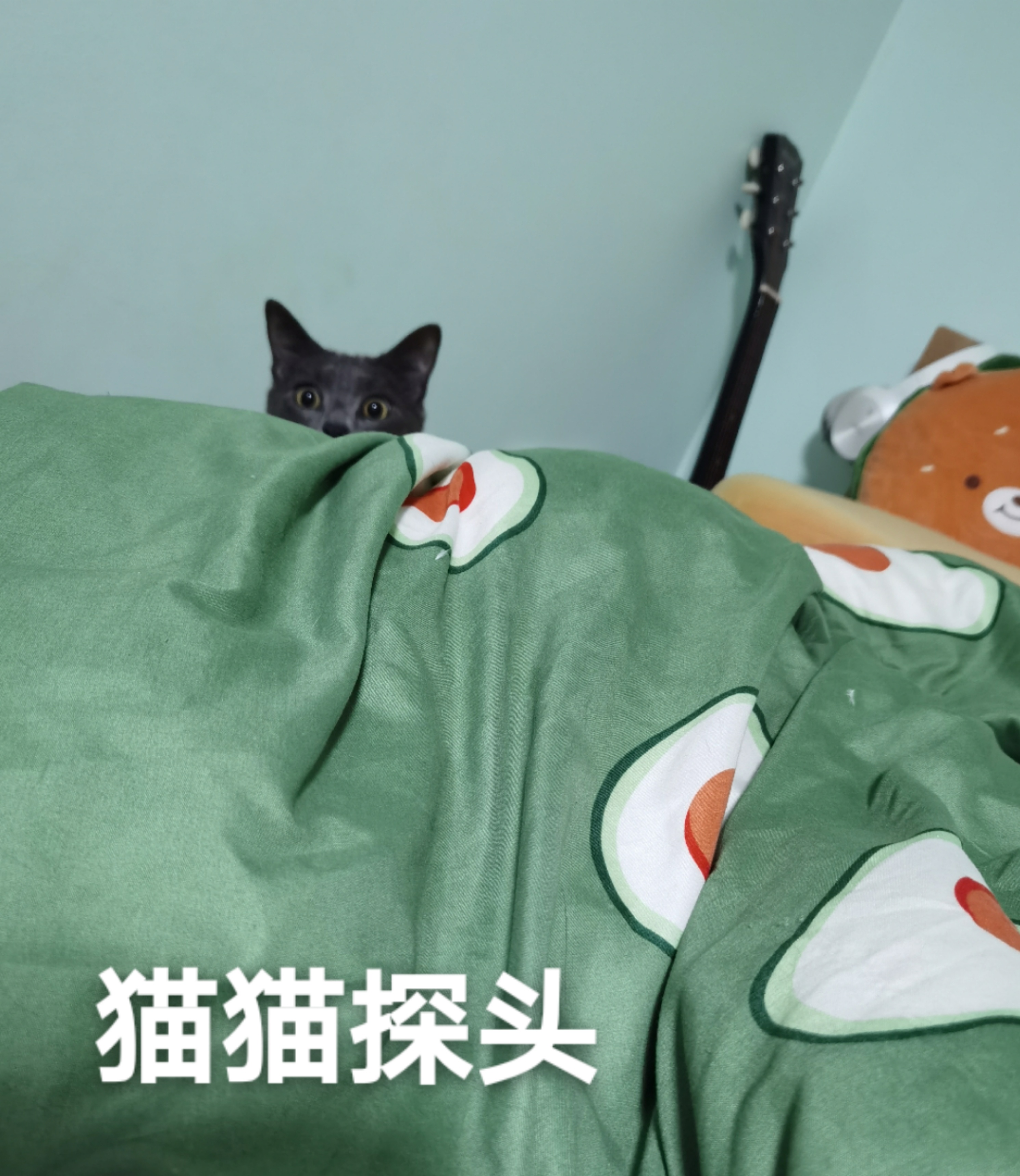 下午好，六号机姗姗来迟 ​​​