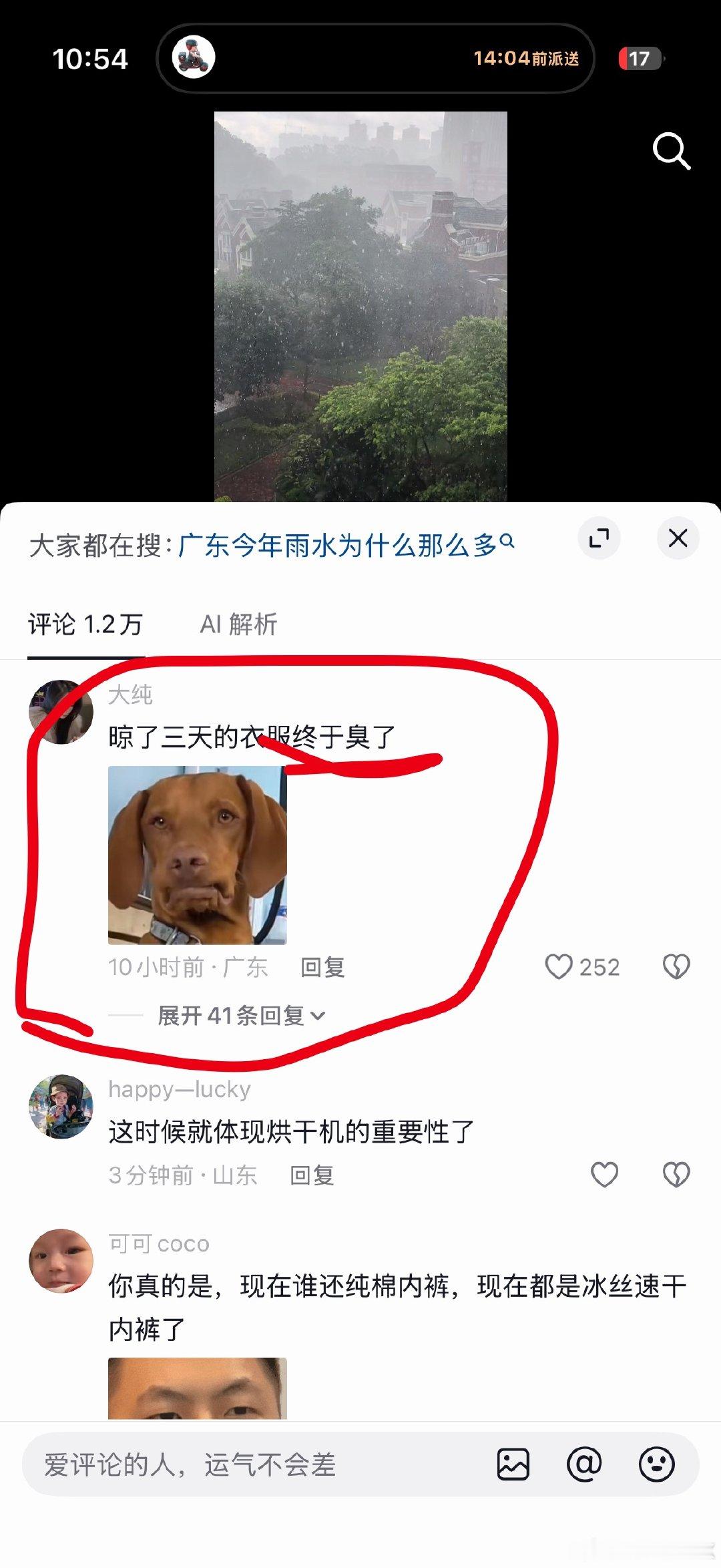 今日仍然没停雨…然后再刷到这些视频真的挺难受的…我想晾干衣服，我不喜欢烘干的感觉