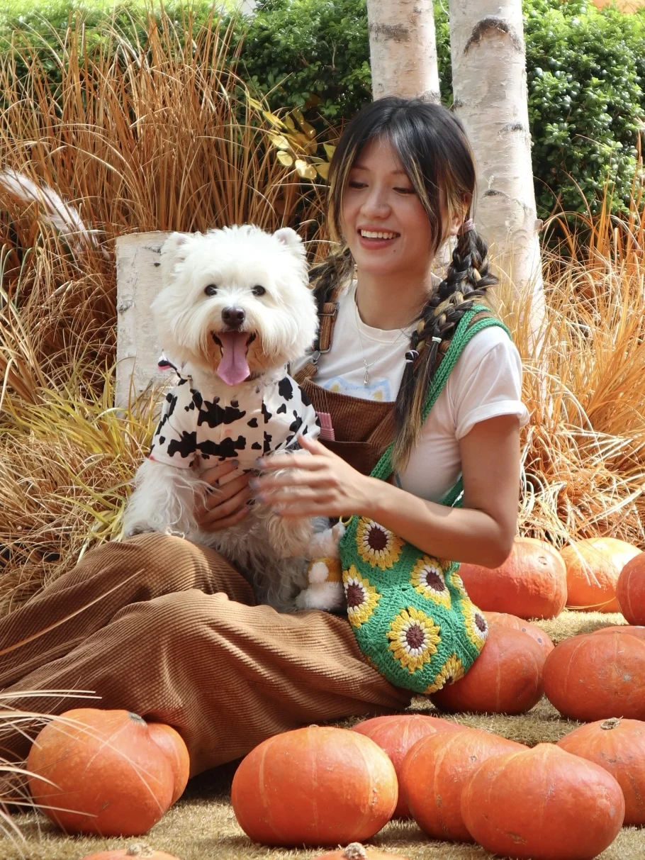 在厦门！今年万圣节小狗来这里打卡咯