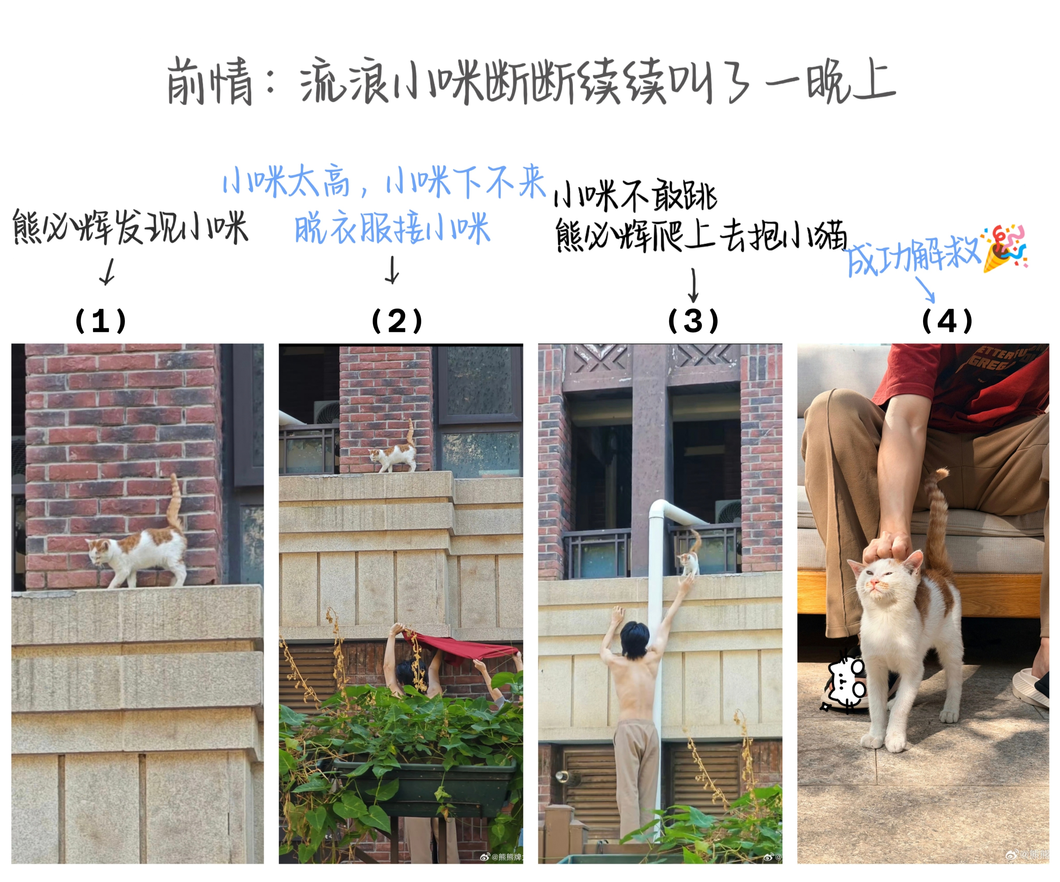 咪好 熊也好 一想起就心软软的[拜托] ​​​