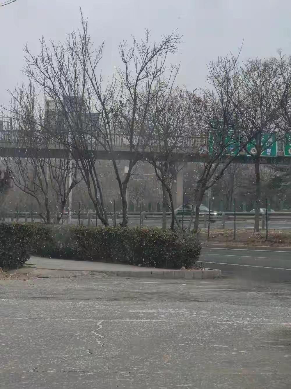 完整榜单：北京2026年第一场雪——一场关于期待与奇迹的温暖记录

当冬天的脚步