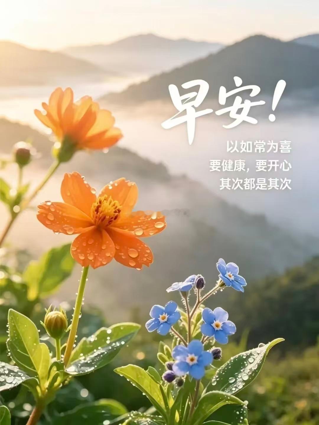 【周二，早安】快乐，是分享传递的，幸福，是用心经营的，美好，是共同创造的，愿我们