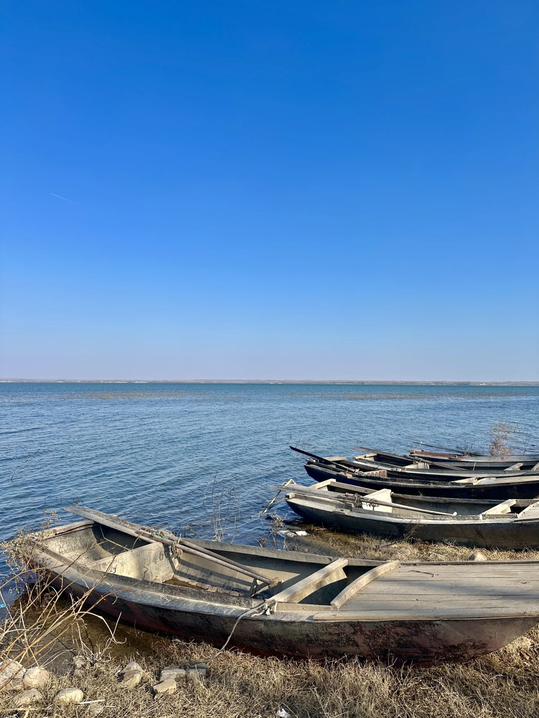 石家庄新发现！！！美的不像石家庄🥹