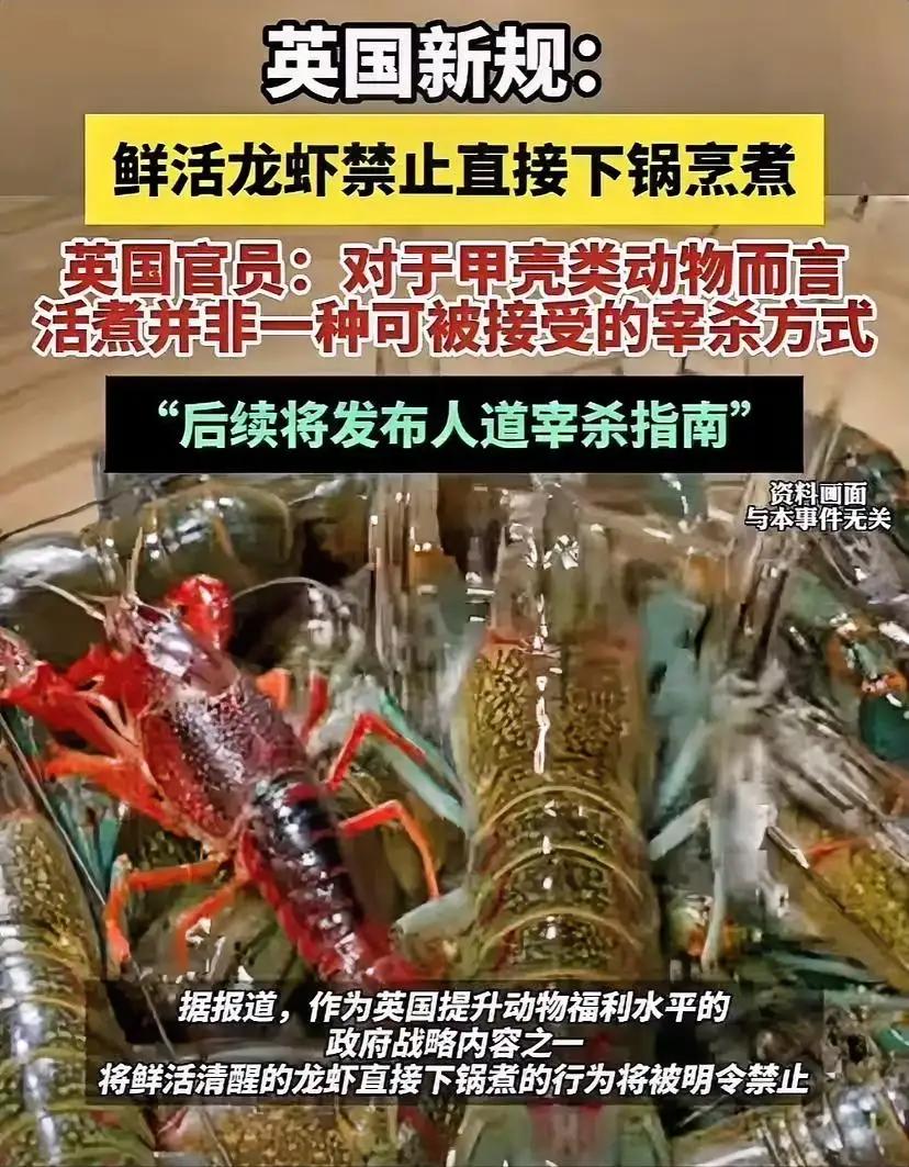 这英国的操作简直震惊了我。西方民主泛滥的爱心简直了，鲜活龙虾禁止下锅蒸煮管的真宽