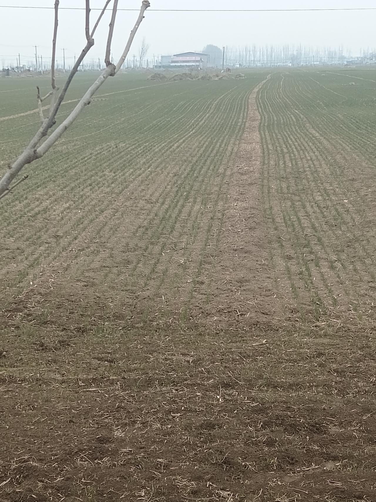 随手一拍，记录美好春天已经悄悄来到了我们身边