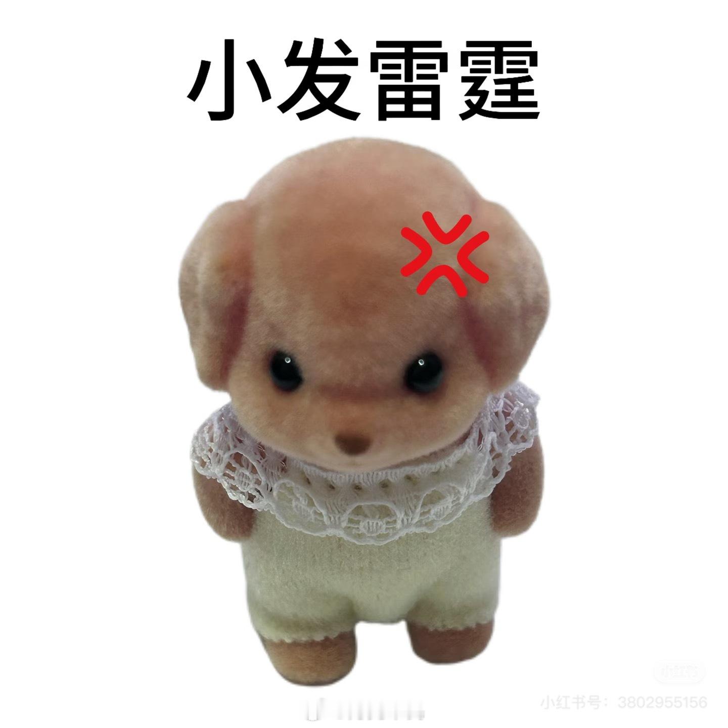 其余不回复 是假装看不见吗 一直问 又不是十万个问什么 ​​​