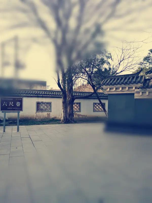 人与人之间为什么要互相谦让呢? 人与人之间互相谦让，往大了说是进化遗留的规矩，被