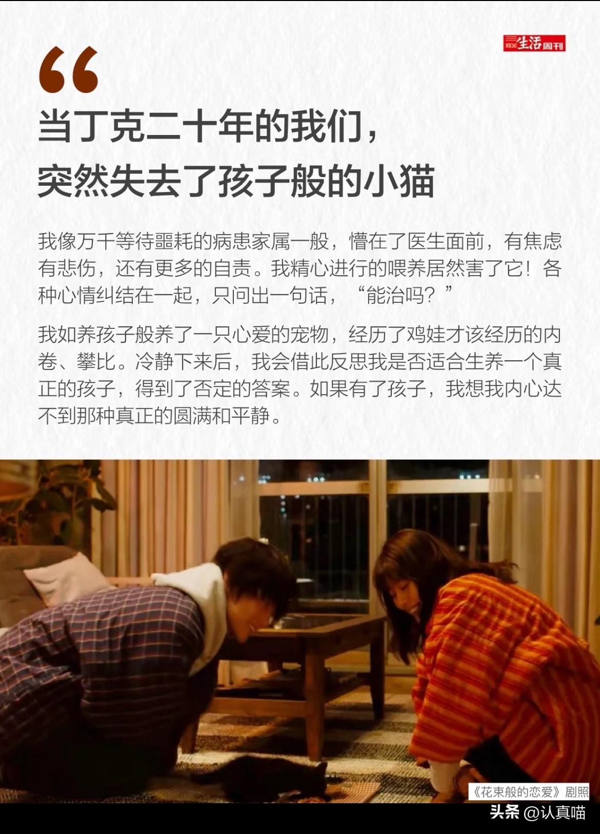 总感觉这股丁克风越吹越不对劲，
网上把不生孩子捧成顶级自由，
可现实反差实在扎眼