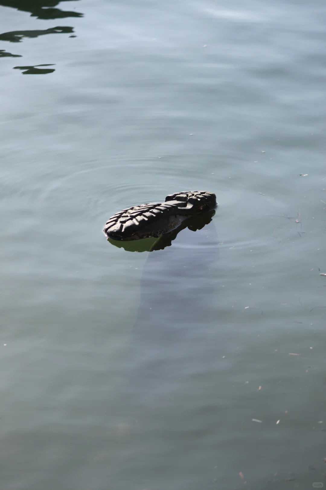 在一个宁静的海边小镇 一双鞋沉沉浮浮漂荡