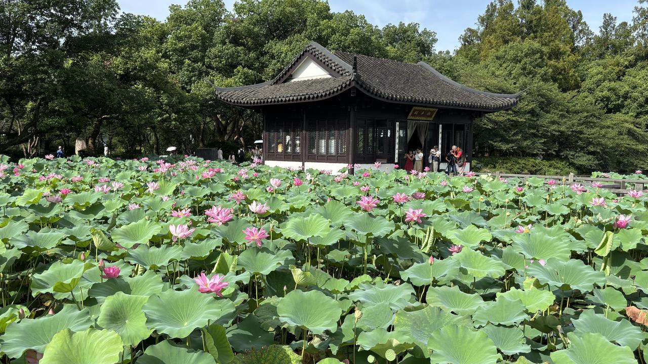 池水中央立着一座江南古亭，黑灰翘角瓦顶，深木色窗棂搭配白墙，匾额悬于门楣，古韵十