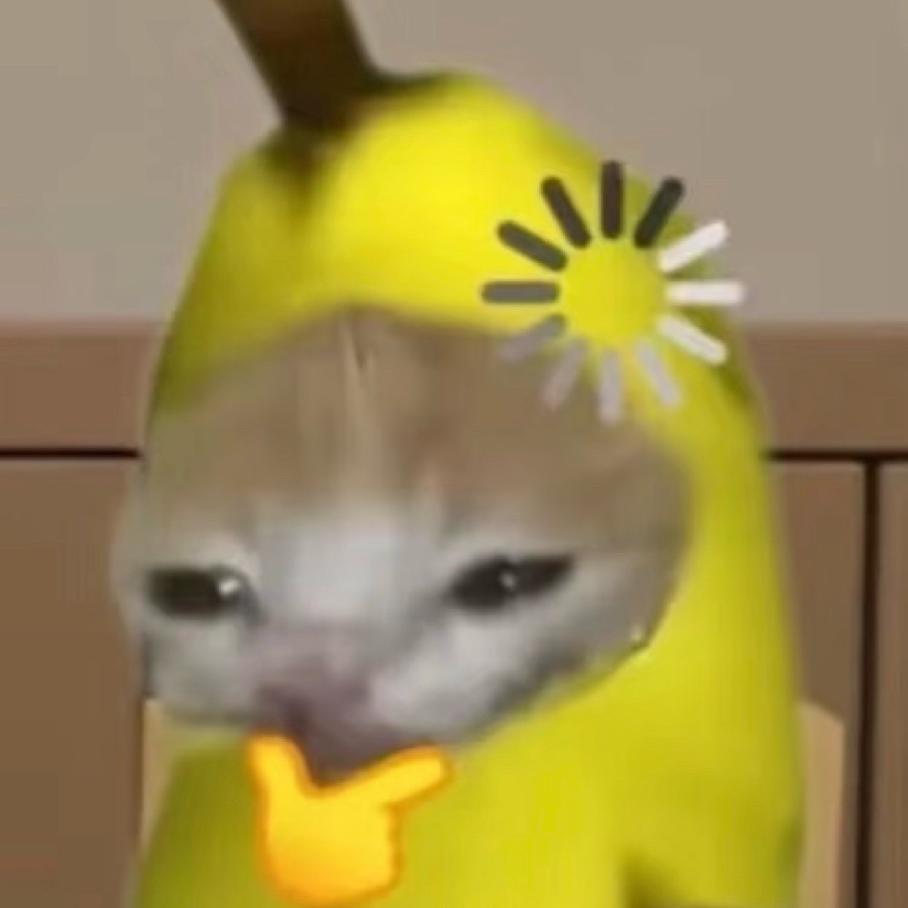 沈月从白天录到半夜都没拿下来她那个四十多块钱的包 里面装得不会是周渔的教案吧 