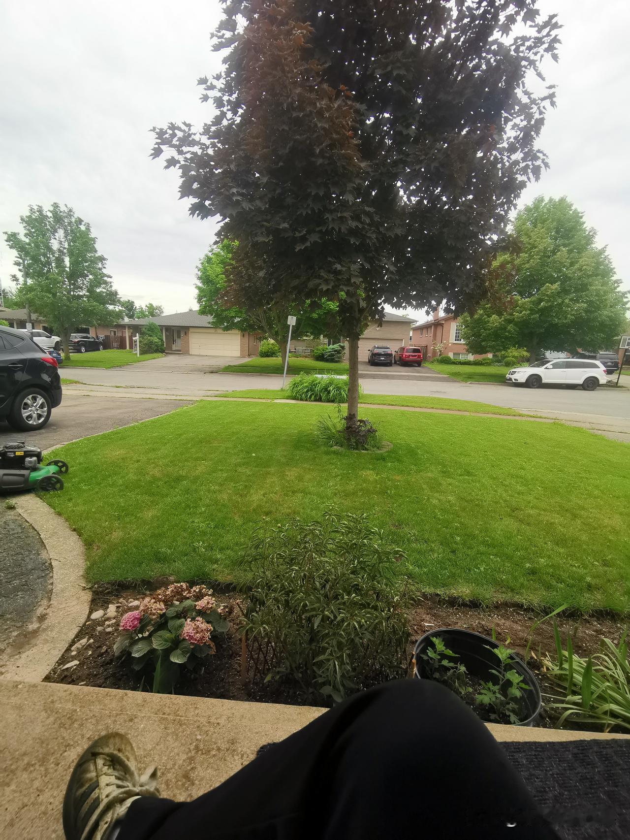 用一张图片来记录生活还是喜欢当时这种乡野生活，推着割草机晒着太阳，累到一身的汗，