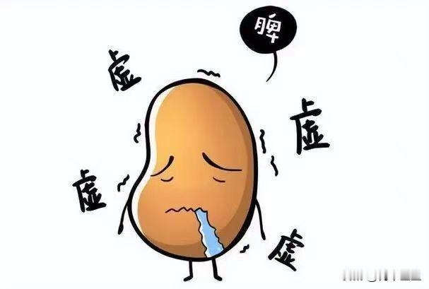 脾虚的人，想要恢复好，调理思路很重要！

中医认为，脾为气血生化之源。脾虚了，气