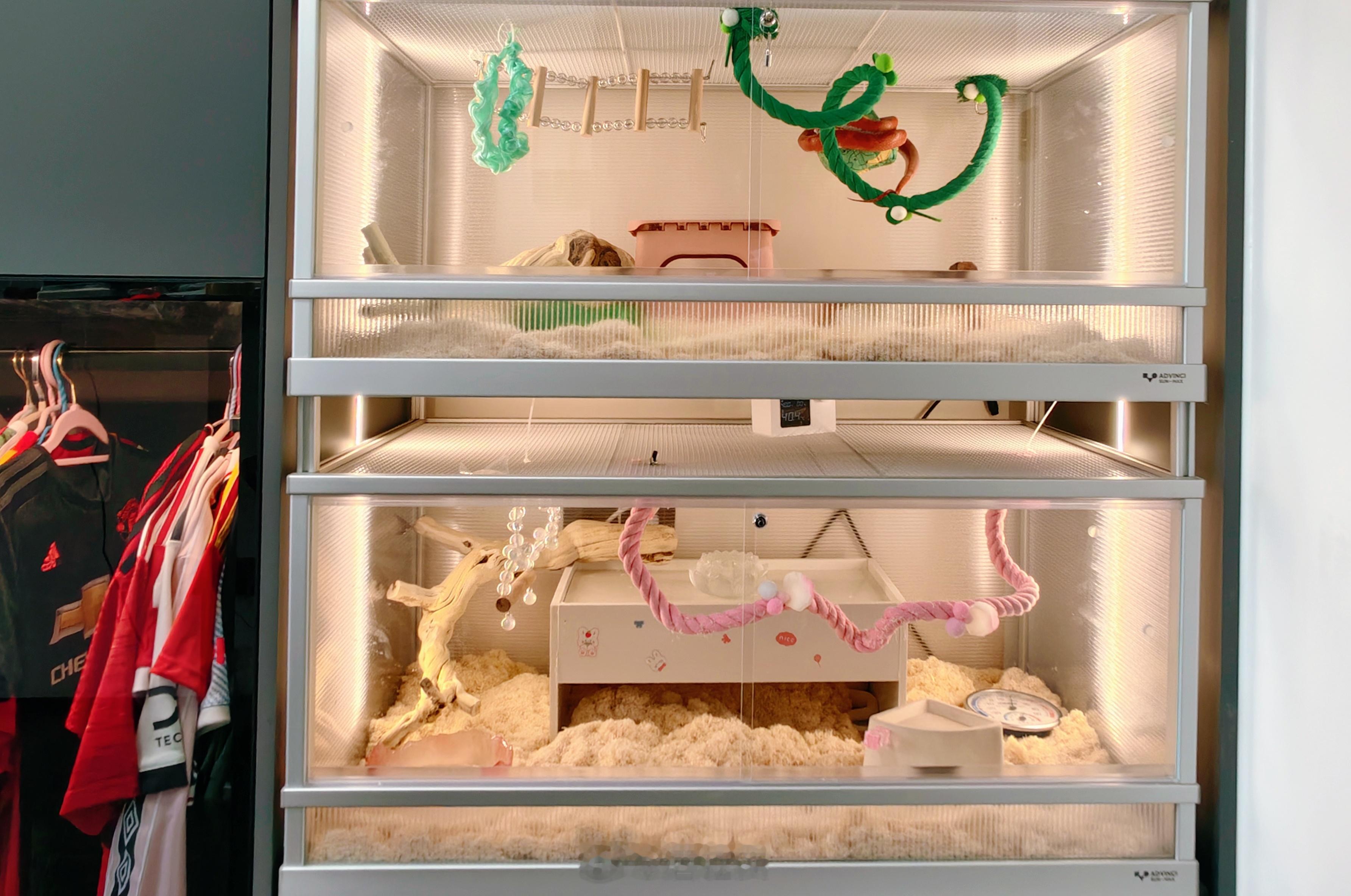 我的爬缸终于好啦直接在柜体中间开的空，两个笨蛋住进去后，体积小的反而猛玩，肥嘟嘟