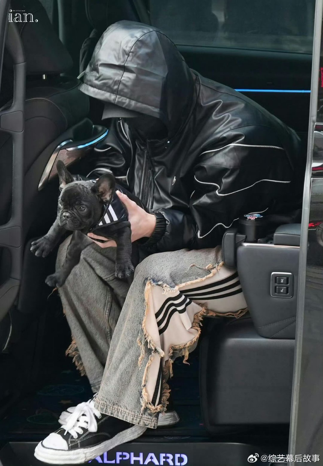 何与养狗了曝虞书欣何与确定二搭何与养狗了！之前说的黑啤就是这只黑色小法斗，终于见