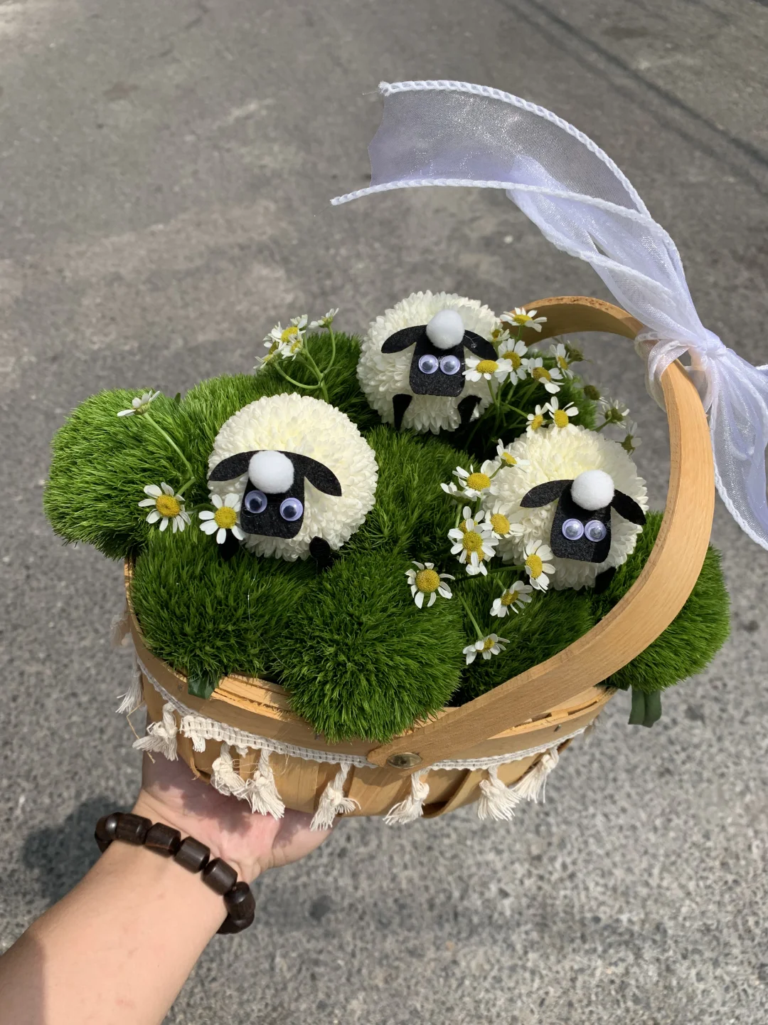 大连花店｜哦？山上小🐑谁家的！
