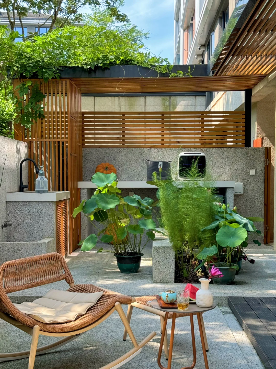 夏日限定｜荷塘洗衣房🪷