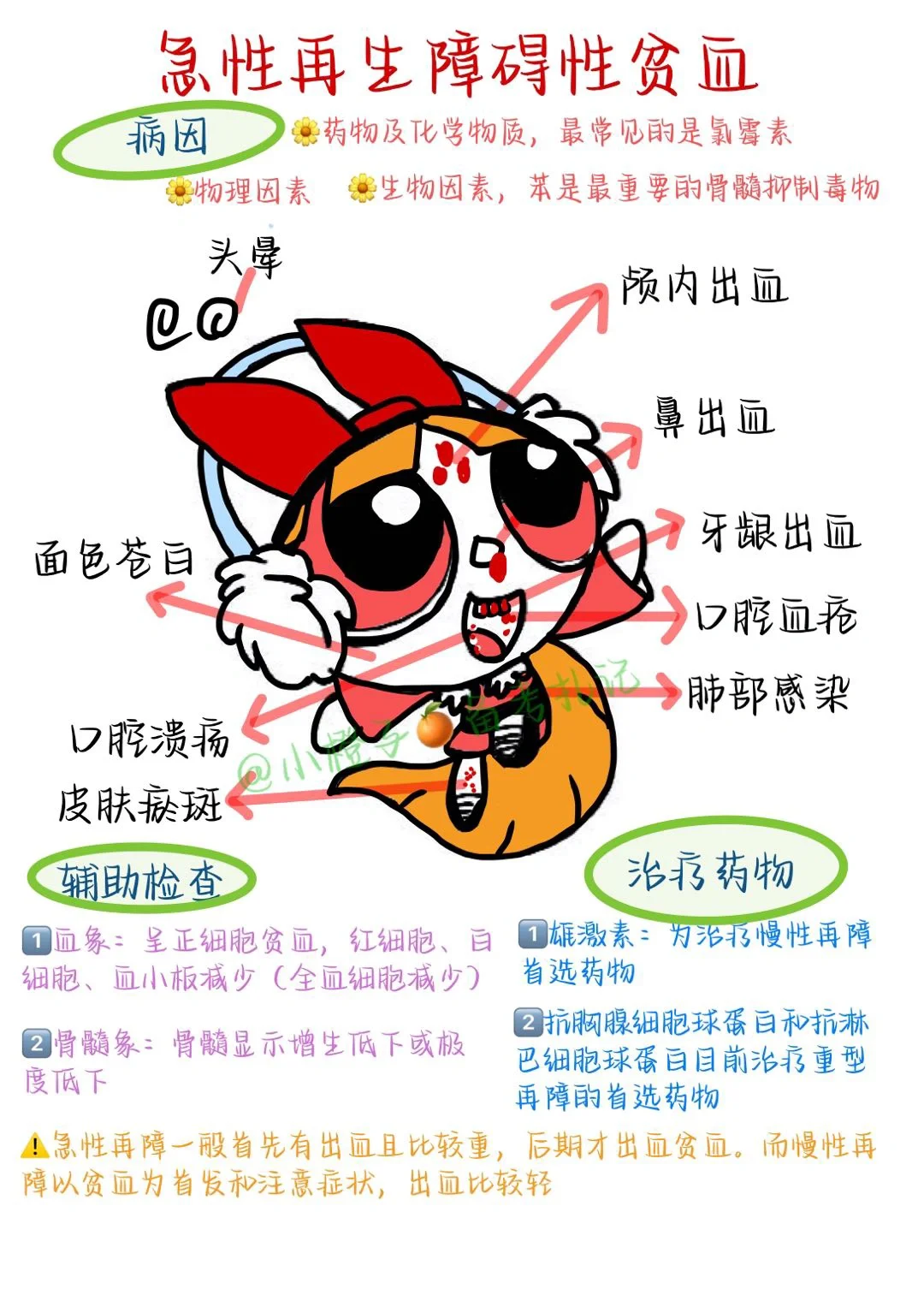📖护师笔记｜内科护理学｜再生障碍性贫血🩸