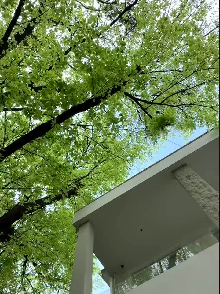 早就说过 有些感觉只有我能给你 