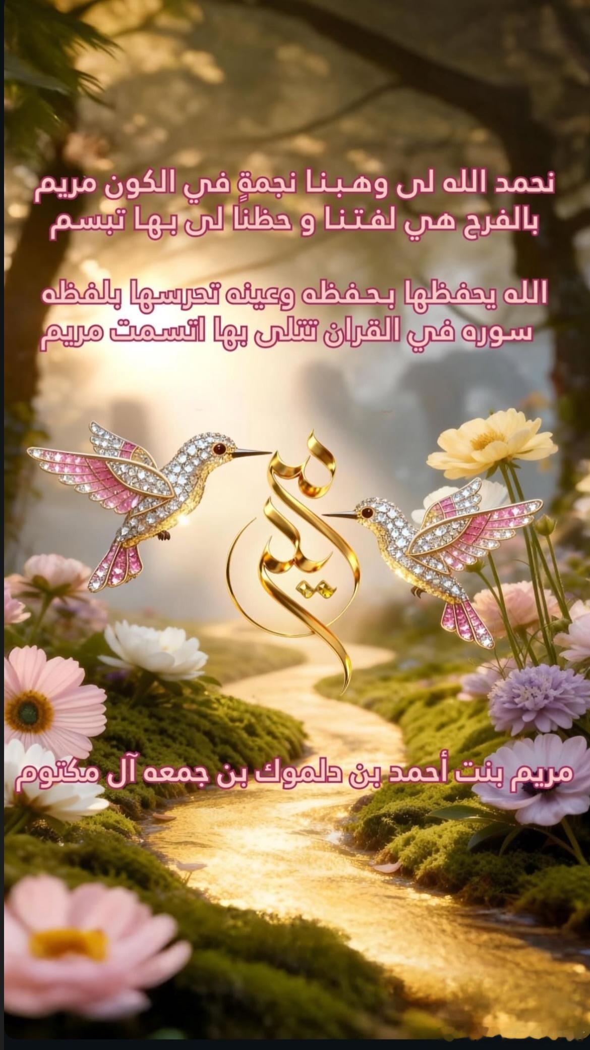 迪拜皇室12.20王储妃妹妹赫德迎来二胎女儿，并为其取名玛丽亚姆。 放几张赫德丈