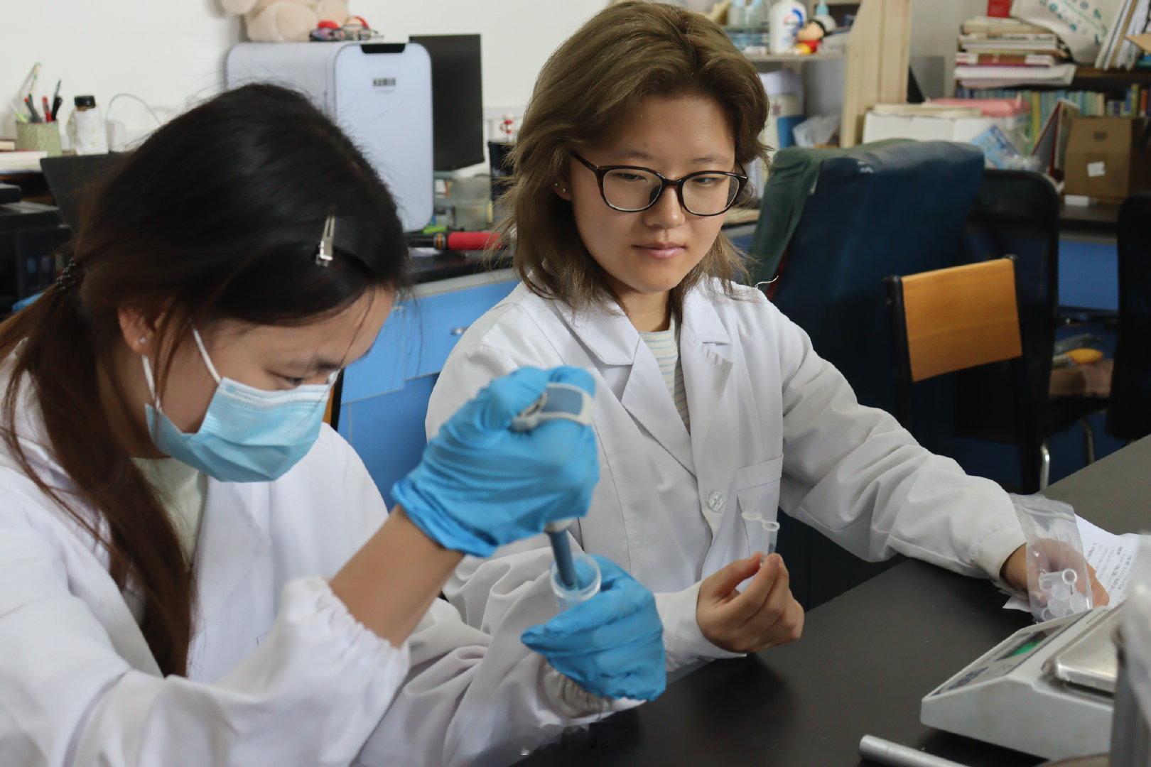 【躬身实验析数据 青春护安筑防线】河南科技大学学子助力基层食品安全河南文旅初秋上