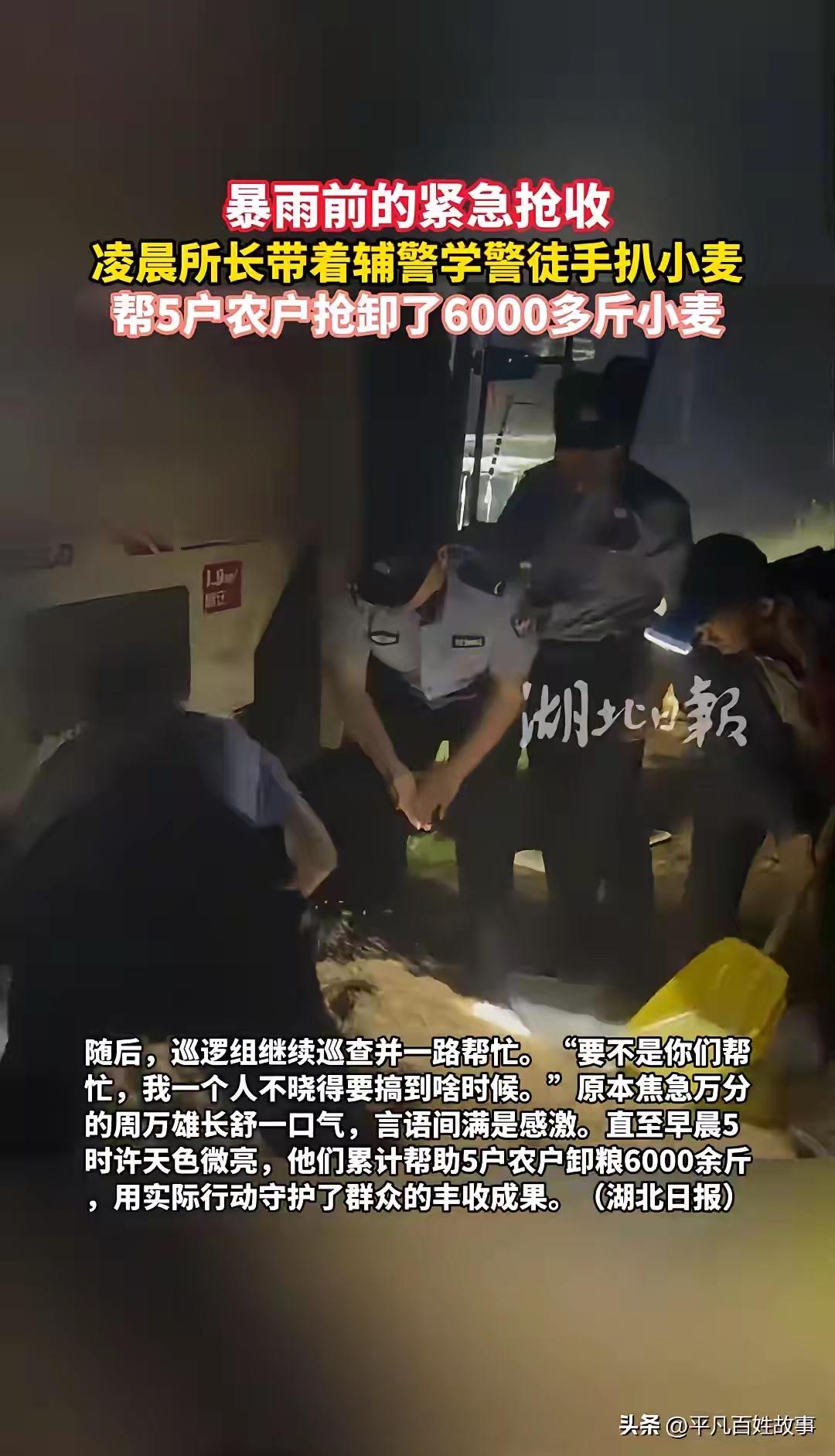 凌晨一点，警察不去抓坏人，反而集体蹲在泥地里扒麦子？刚刷到这条新闻时，我确实和很