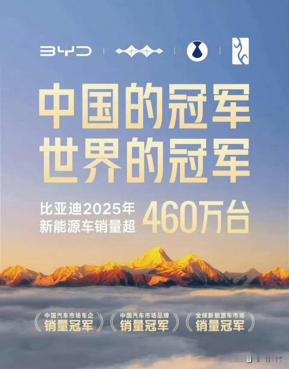 在世界汽车市场，以及中国汽车市场竞争如此惨烈的情况下，2025比亚迪的销量是46