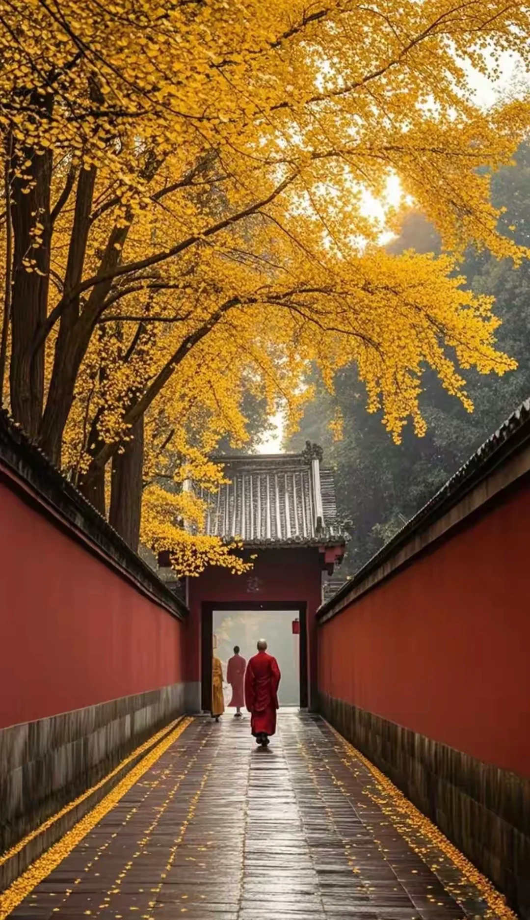 当你对自己有一个全面的认知，你就能站在一个更高的维度去看待世界，看待身...