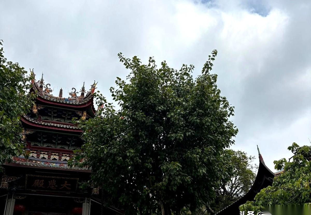 我一直有个特别残忍的猜测：养老院那扇门，推进去，是不是就再也拉不开了？
像一张单