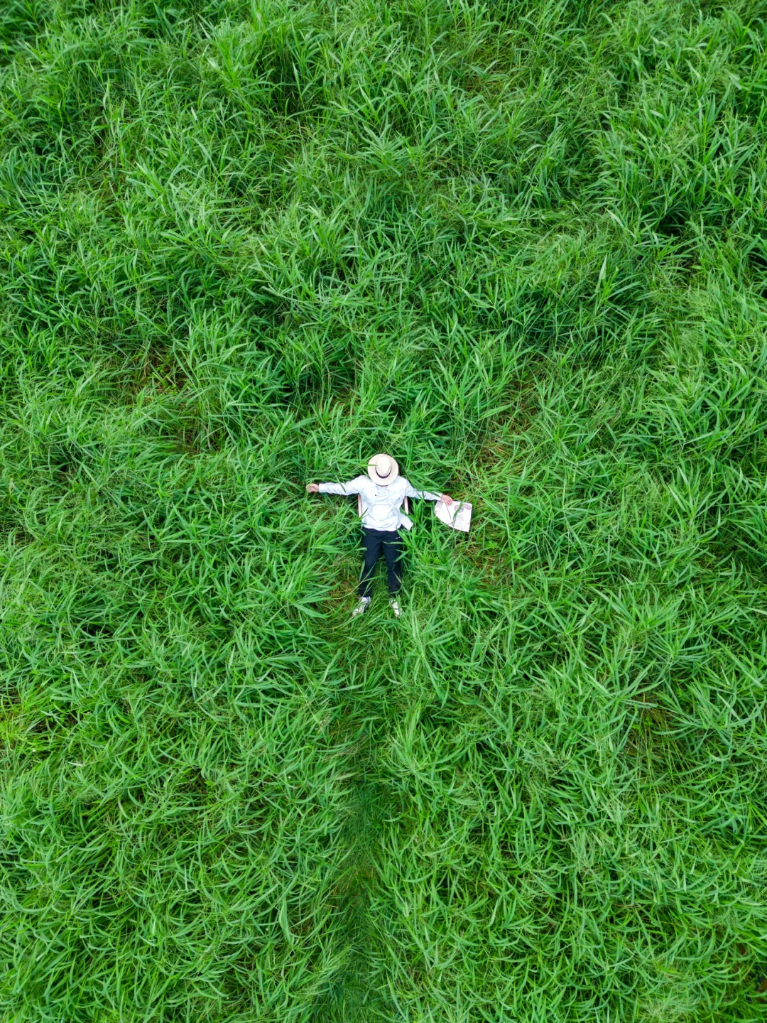 这是我在深圳见过最美的草原‼️