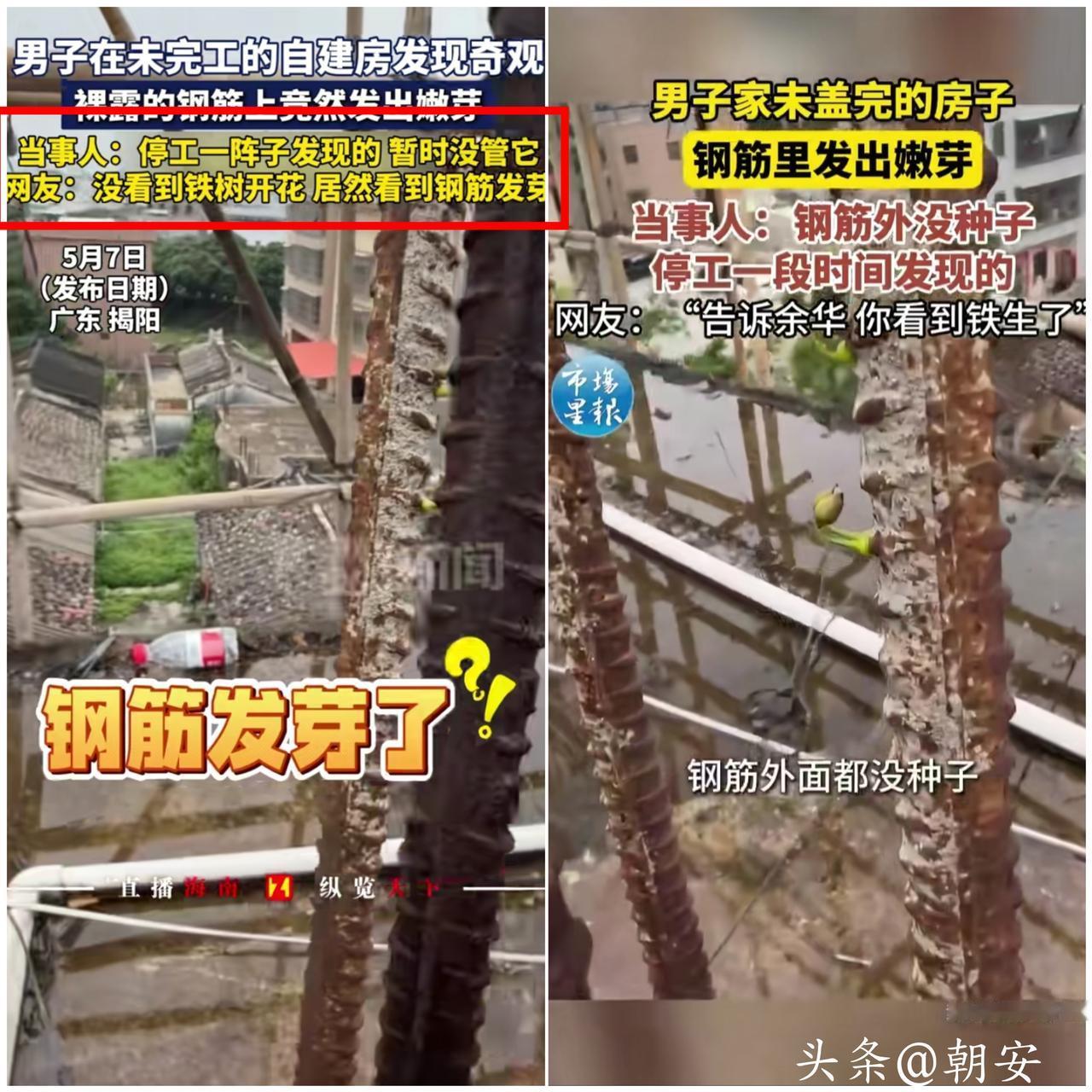 谁能想到！

广东一栋烂尾自建房，竟上演了离谱又治愈的一幕。

房主原本计划盖六
