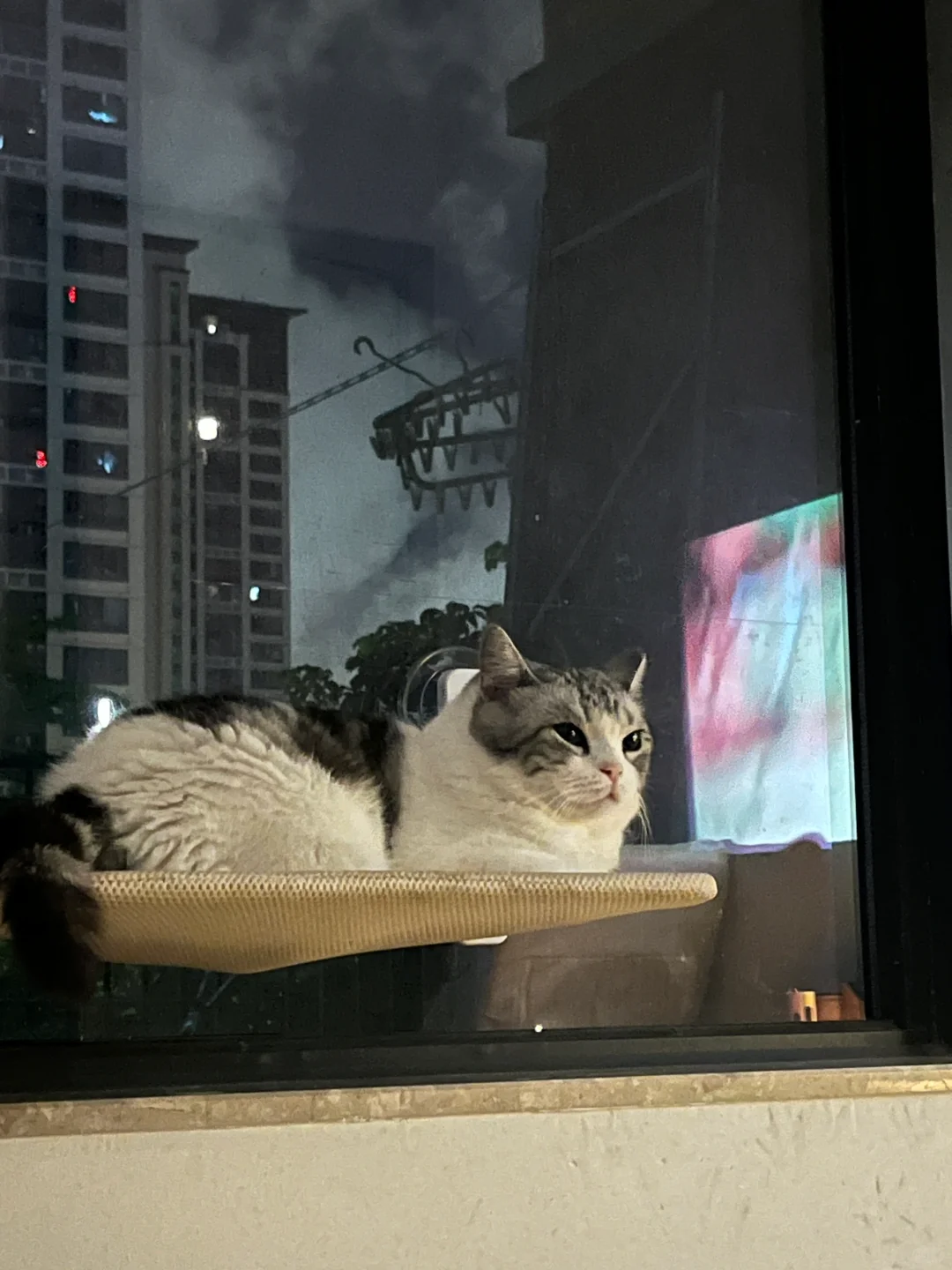 看剧喝酒的咪咪搭子～