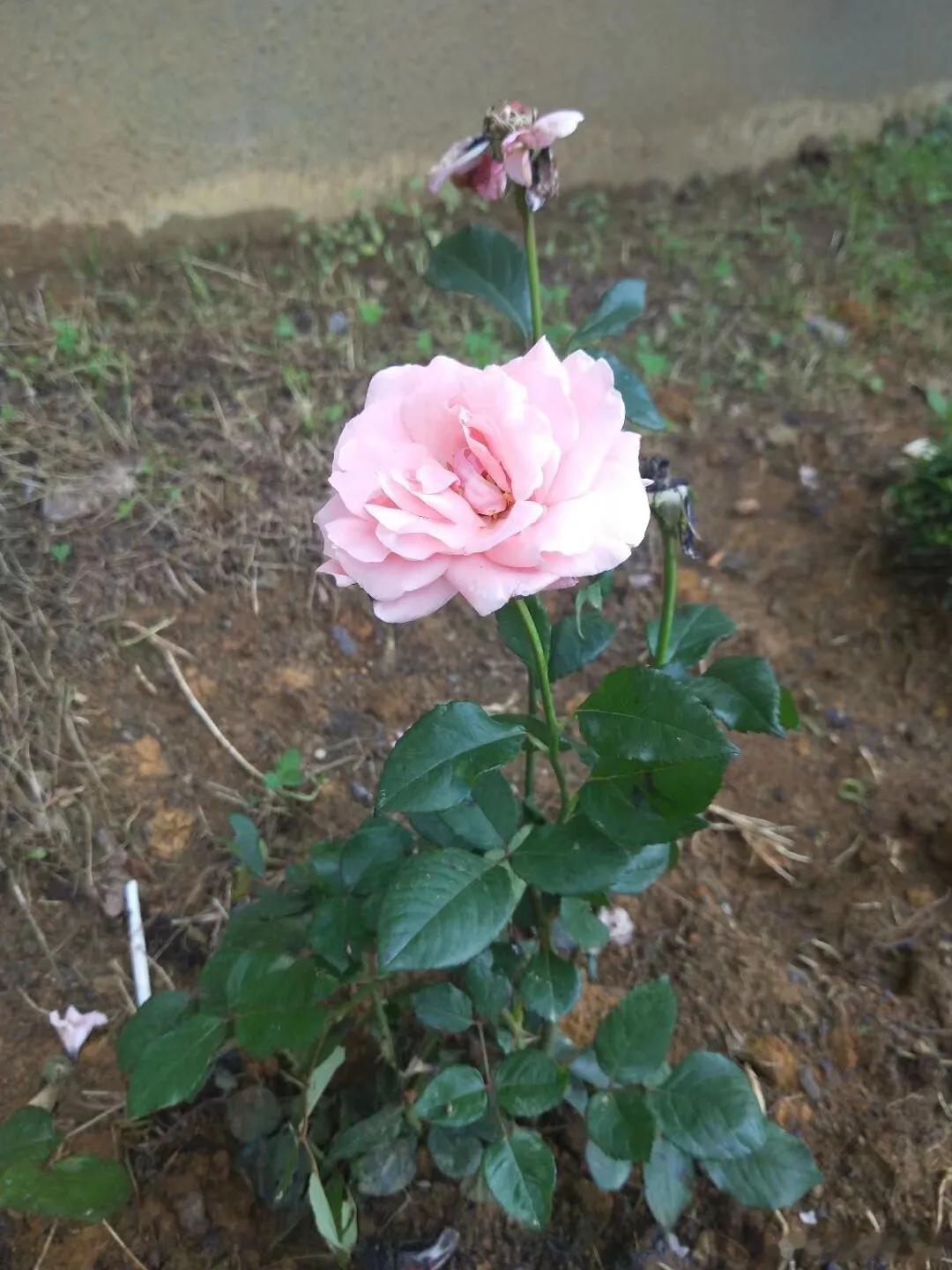 A股最后的提醒，给所有散户一个忠告，节前A股这样走！一、A股地量以后还将地量今天