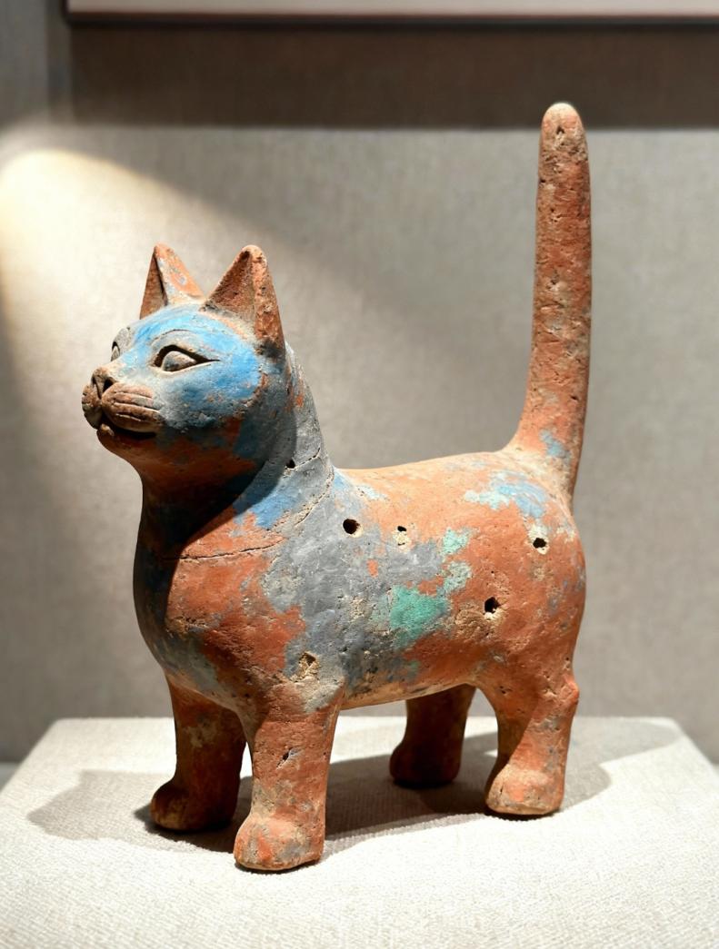 家猫
青岛市雕塑馆2026年“春潮·青岛雕塑双年展”之 呙鹏作品赏析
 作者养了