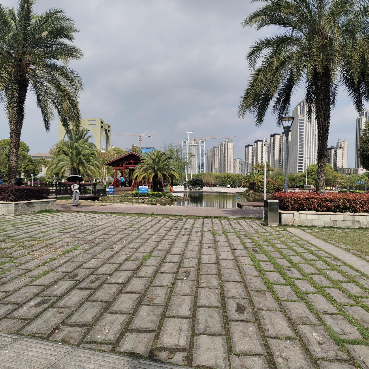 今风送暖入心怀，
年华正好待花开。
春光不负前行路，
日暖心安好运来。
最盼家安