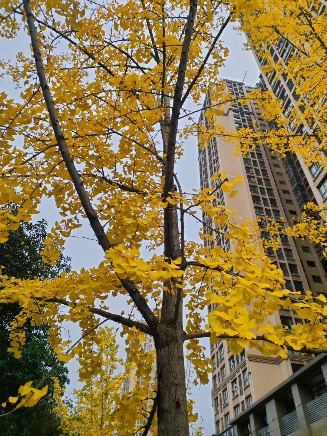 生活不完美，但不代表不美好

人的一生，有诸多不完美和遗憾。比如工作学习受挫，婚