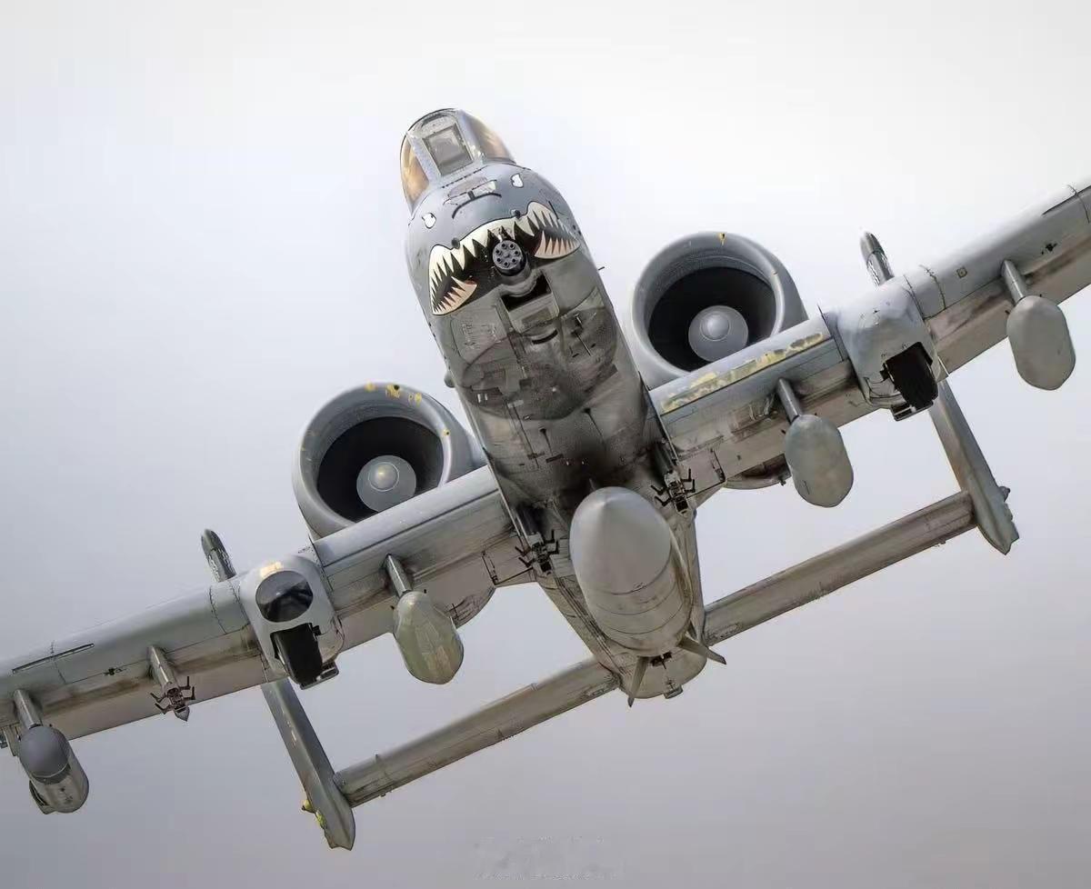 世界航空界的丑角集锦。