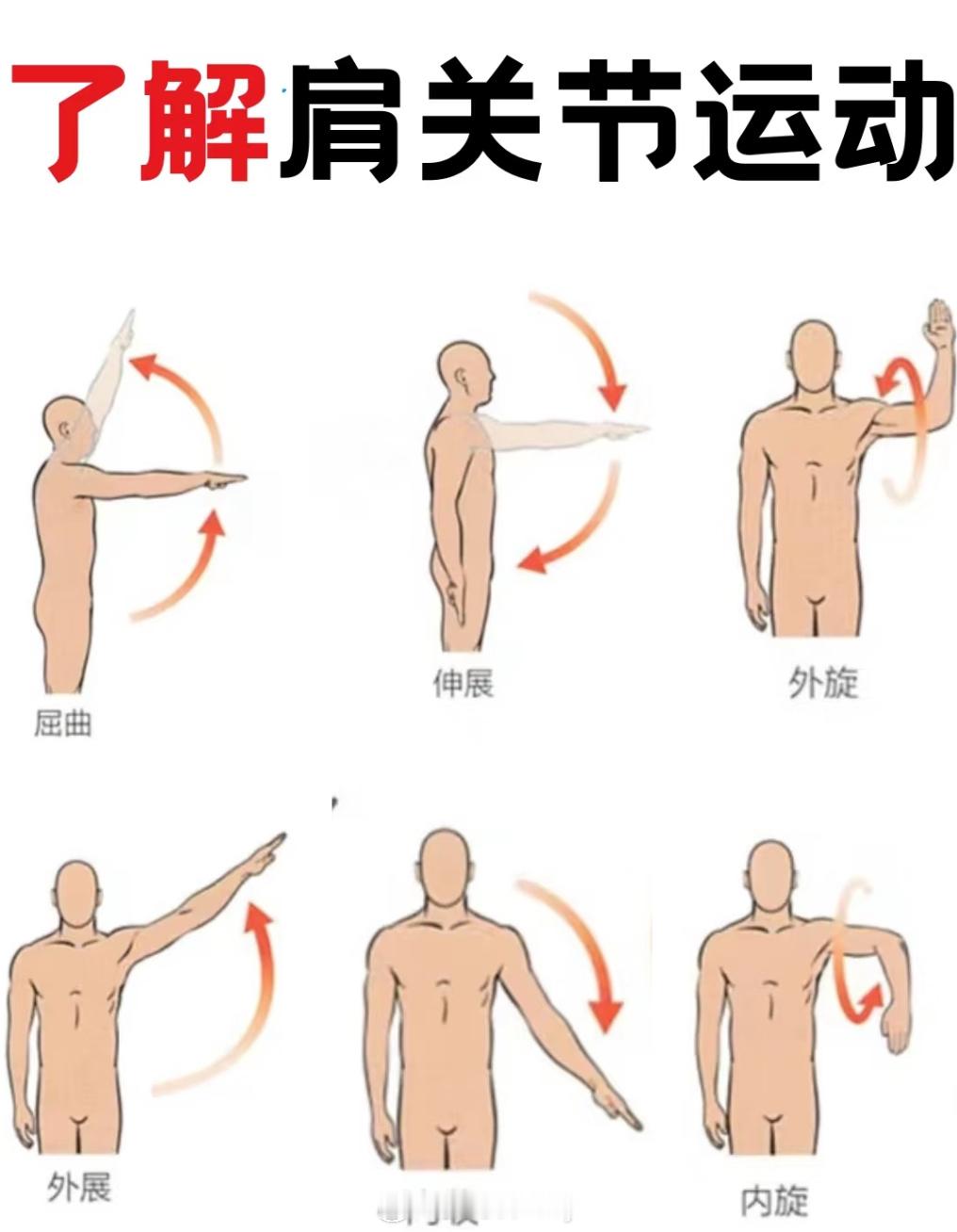 新年运动纳福记  健身  健身打卡  肩关节的6个运动方向 