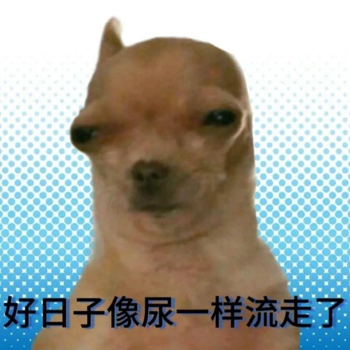 𝗦𝗛𝗔𝗥𝗘 - 最近爱用的聊天表情包 夏日企画