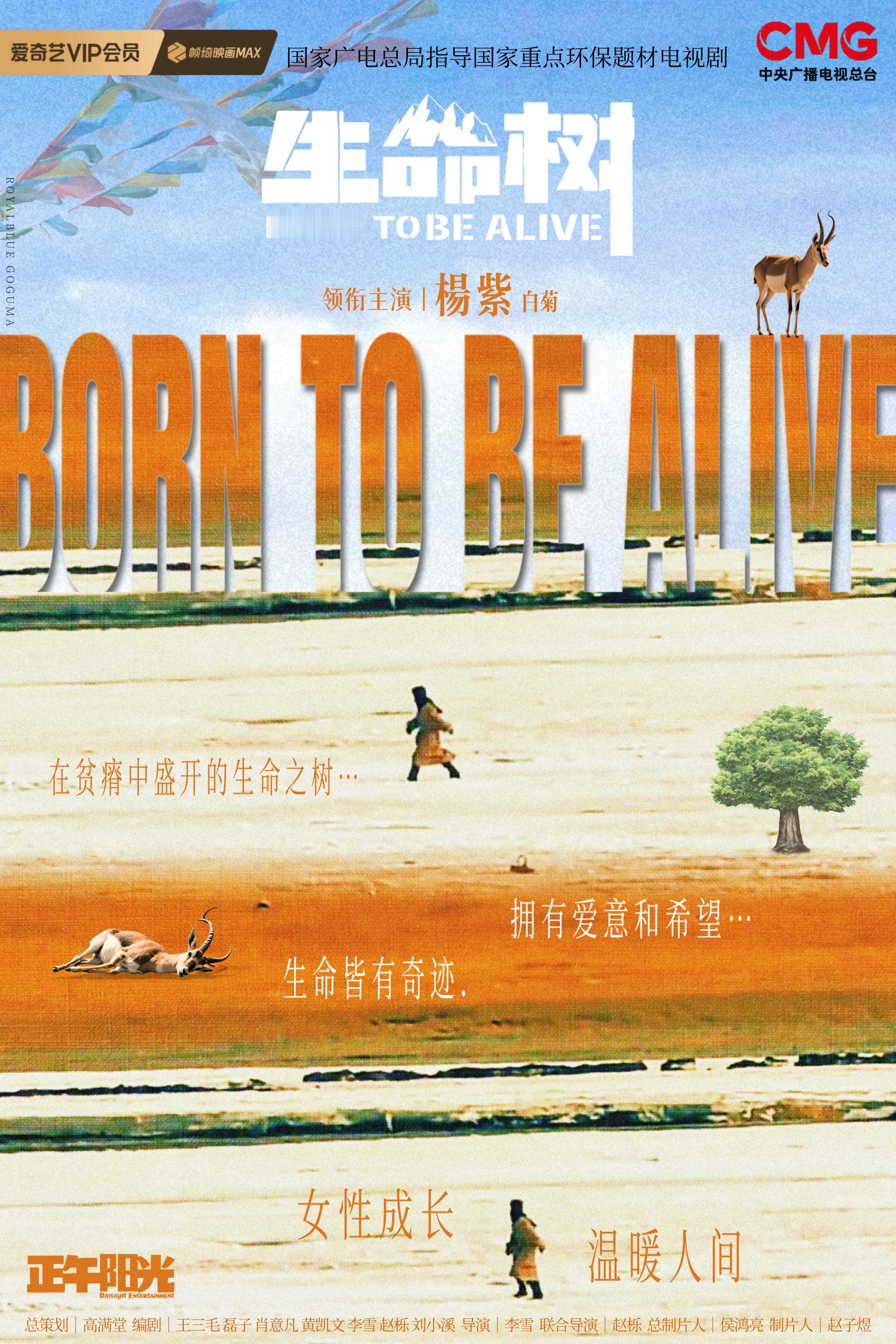 关于爱与信仰的故事🌳 ​​​