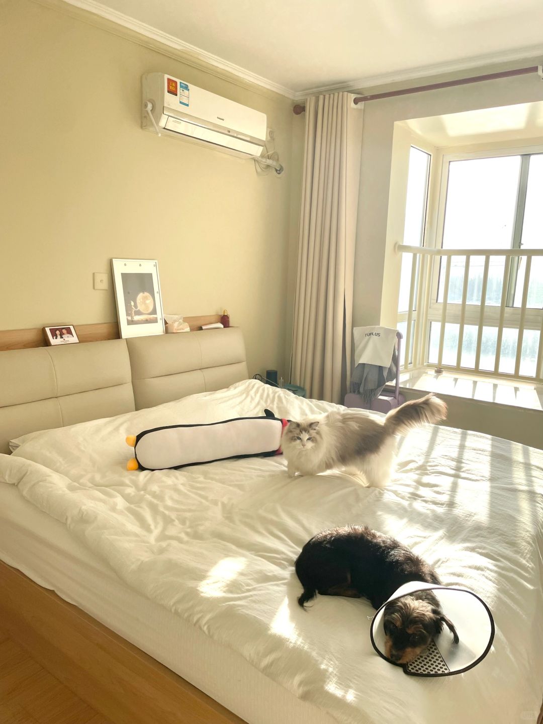 每次回到出租屋就像住酒店一样😂😂😂