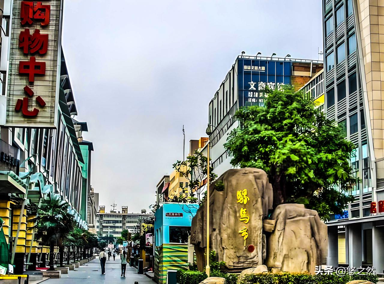 旅居西安的日子（3）西安有个地方，名字里带着牲口味——骡马市。特意去看了看，满街